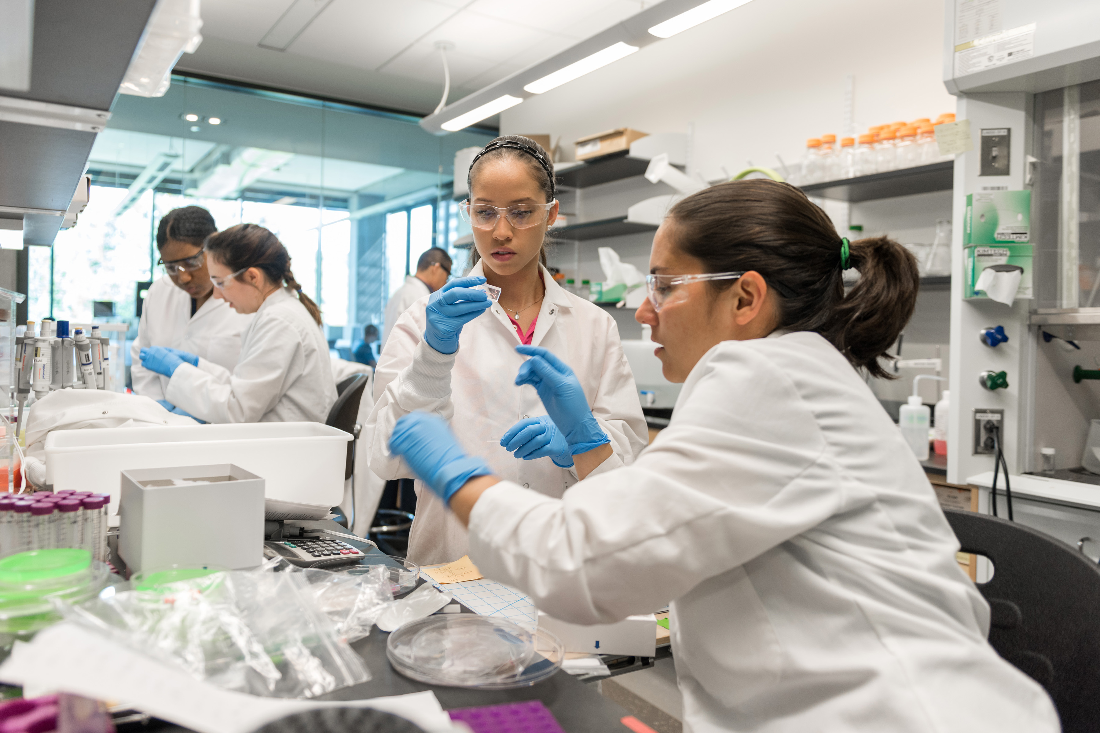 Student researchers, wearing goggles and lab coats, work at a laboratory bench.