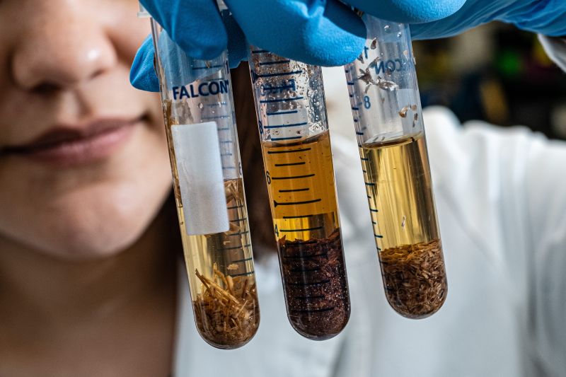 Soil in test tube in laboratory