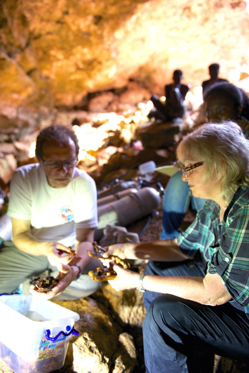 Researchers with fossils in Madagascar