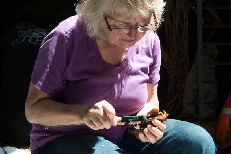 Godfrey measures fossil skull