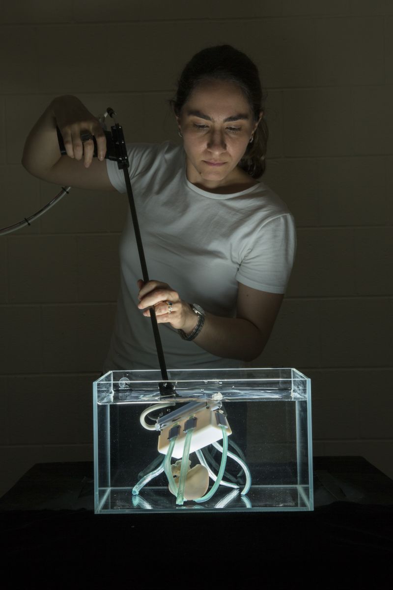 Researcher using robot fingers to handle jellfyfish