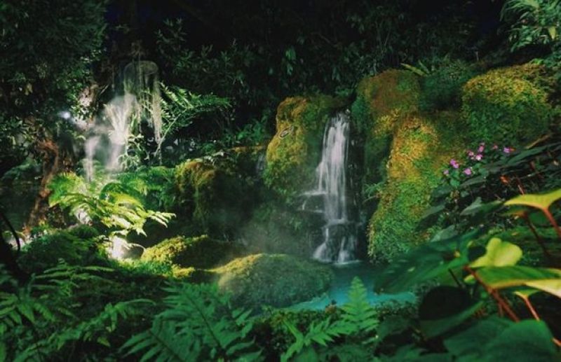 Rainforest waterfall