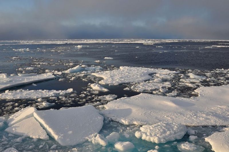Sea ice covering the ocean
