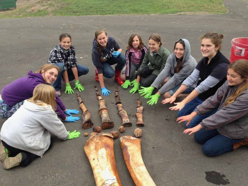 Students with blue whale fin bones