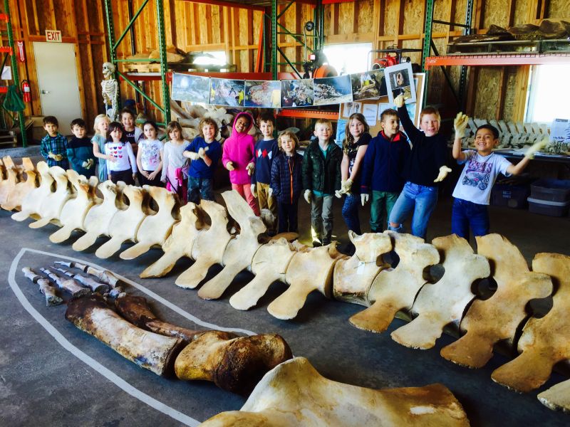 Students with blue whale skeleton