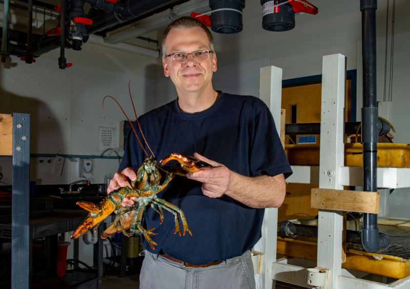Marine scientist with lobster