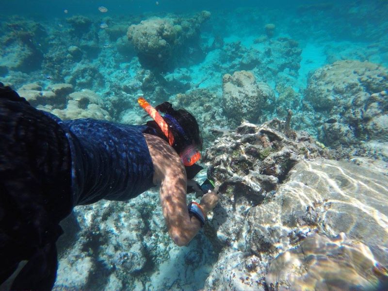 Nicole Yamase doing underwater research