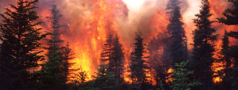 Alaska wildfire