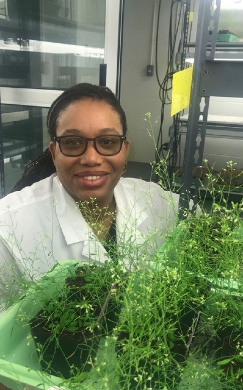 Researcher with plants