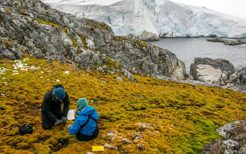 Understanding long-term changes to global ecosystems | NSF - National  Science Foundation