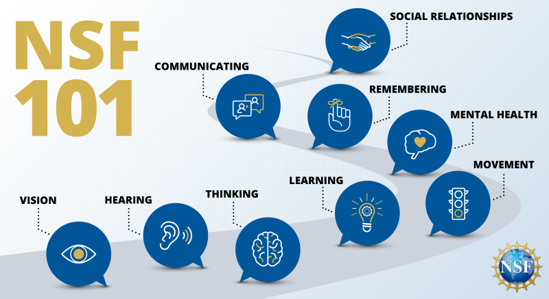 social relationships, communicating, remembering, mental health, movement, learning, thinking, hearing, and vision