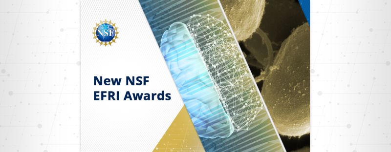 NSF invests in bio-inspired and bioengineered systems for artificial ...