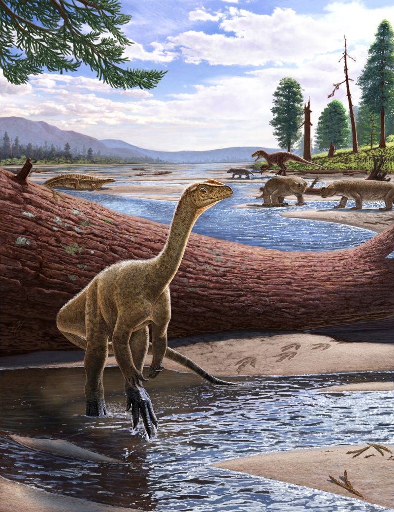 Dinosaur artist rendering