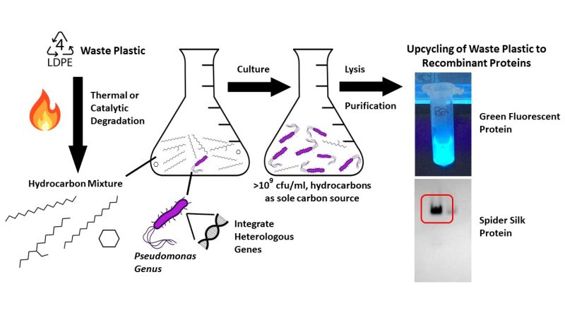 Plastics recycling-RPI