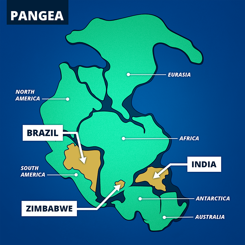 Pangea map for dinosaur