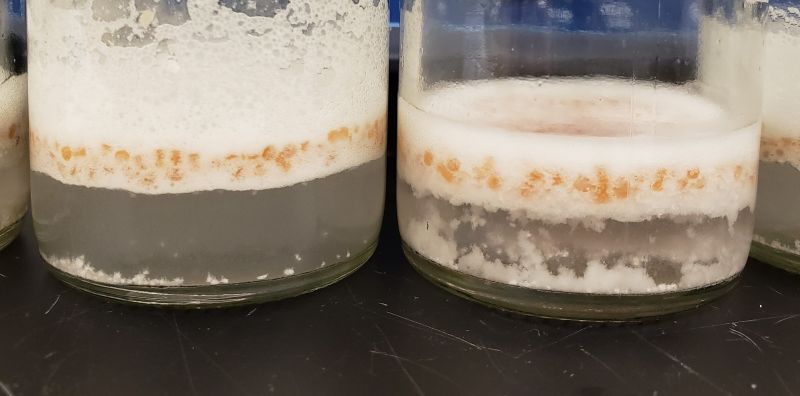 Biko plastic recycling