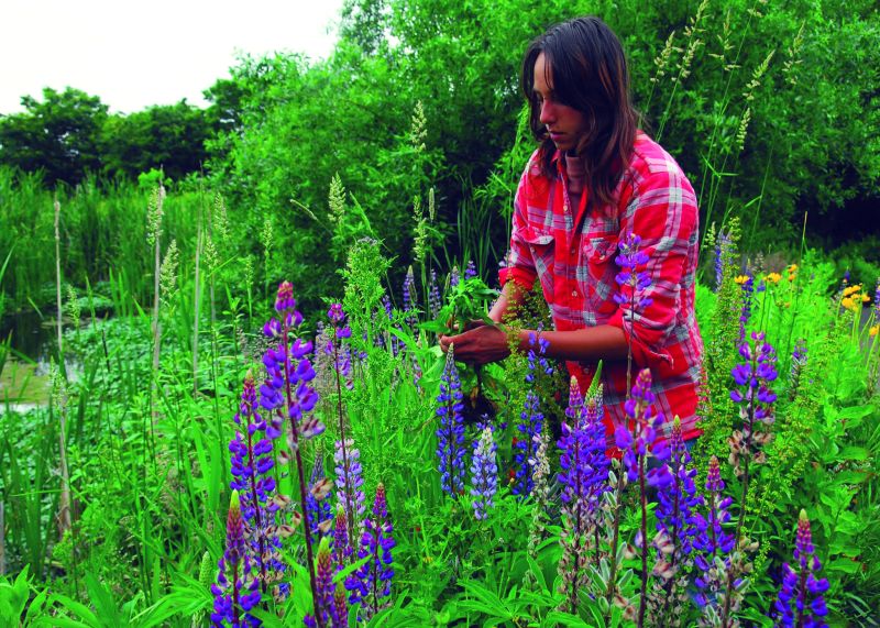 American Indian graduate in a field removing invasive plants.