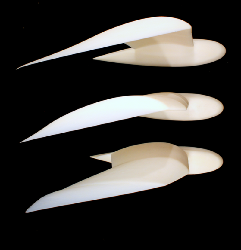 Engineers study bird flight to understand response to air disturbances thumbnail