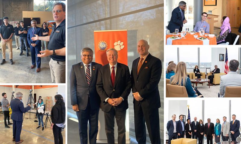 collage of Panch weekly roundup with colleagues