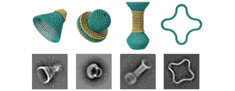 Look at the tiny nanoscale structures emerging from research labs at   Duke University   and Arizona State University, and it’s easy to imagine you�