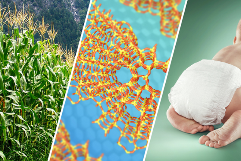 Chemical researchers discover catalyst to make renewable paints