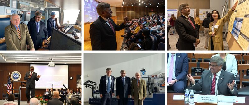weekly round up of director Panch