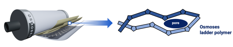 Osmoses ladder polymer