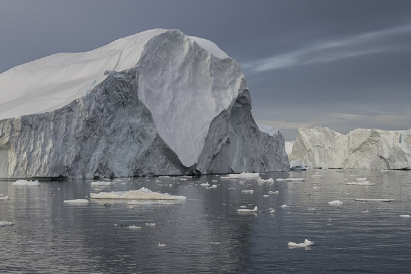 Massive iceberg discharges during the last ice age had no impact