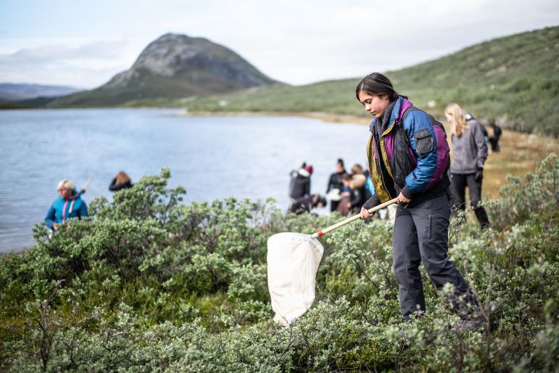 Greenland field work