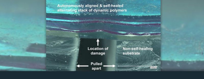 A digital microscope photograph of polymer films that have been damaged, autonomously aligned and self-healed.