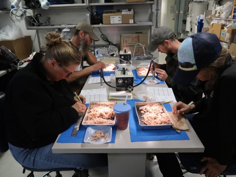 Palmer Station researchers