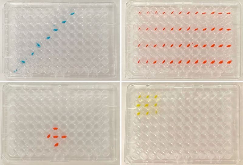 Collage of four transparent rectangles each with a different colored pattern.