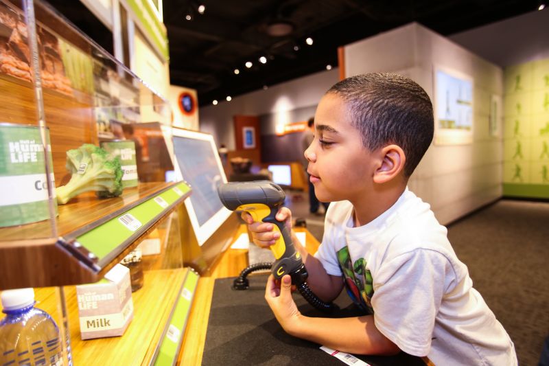 A young boy scans food products while using a component in the Food area of the Museum of Science's Hall of Human Life exhibition.