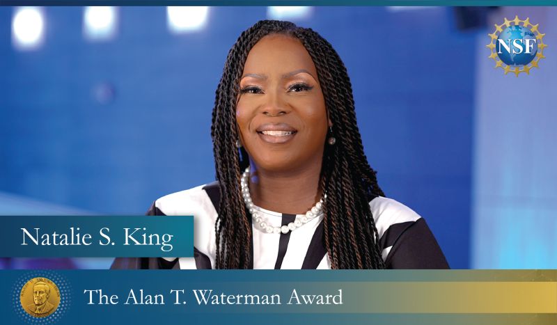 The Alan. T Waterman Award, Waterman Award