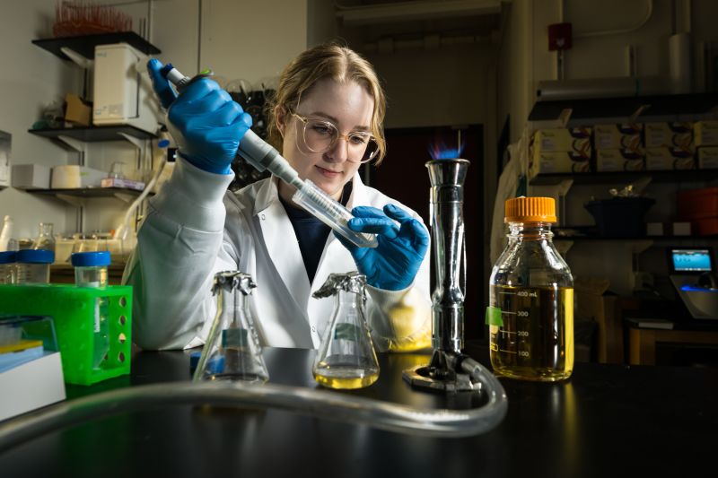 University of Rochester graduate student Lynn Sidor prepares a batch of bacteria cells that will self-assemble their own glass coating