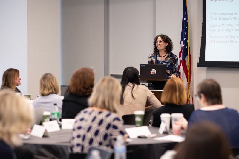 Using Artificial Intelligence to Better Understand Menopause workshop