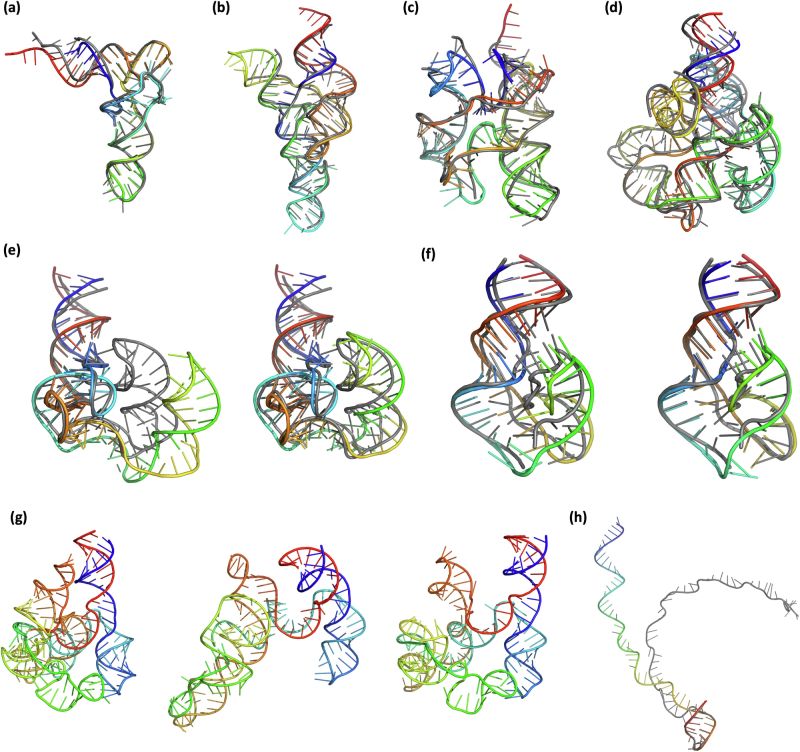 A set of predicted RNA structures developed by the AI-driven tool NuFold.