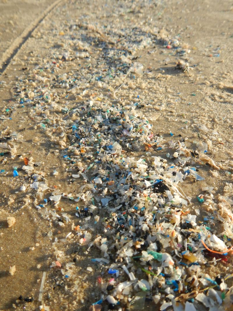 Researchers discover microplastics at all ocean depths | NSF - U.S ...