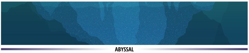 An illustration depicting the layers of the ocean by depth: sunlit, twilight, midnight, abyssal and hadal.