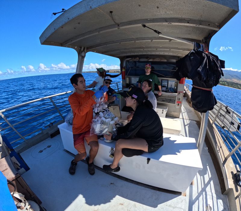 Researchers working underwater and examining underwater life.