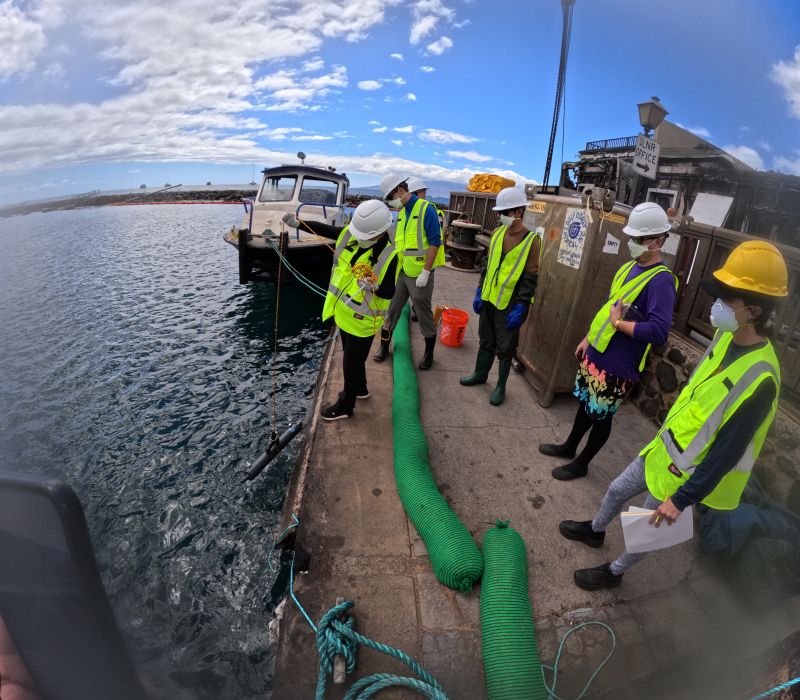 Researchers working underwater and examining underwater life.