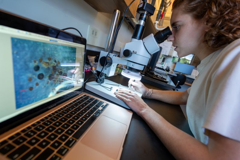 female scientist looking at fossilized materials under a microscope