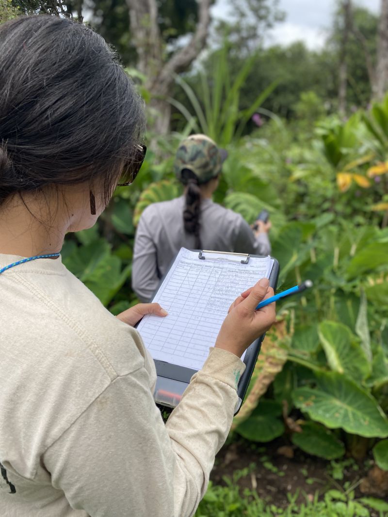 Huliauapa’a Interns learning ʻāina field methods. Photo credit: Kelley Uyeoka