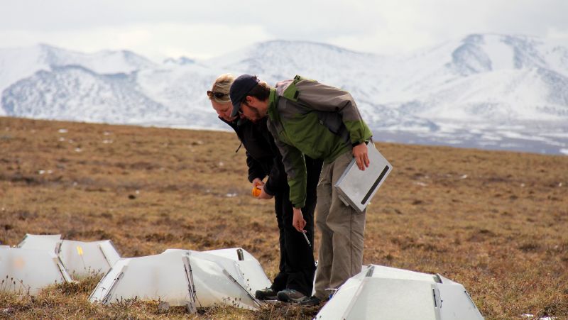 two scientists take measurements within an open field
