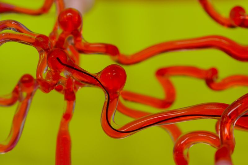 Transparent red tubes on a bright green background with a black thread running through one of the tubes.