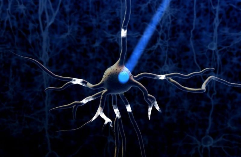 Neuron expressing light-gated cation channel channelrhodopsin-2