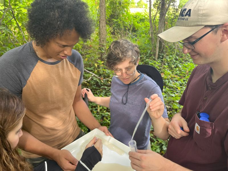 collecting mosquito larvae in the field