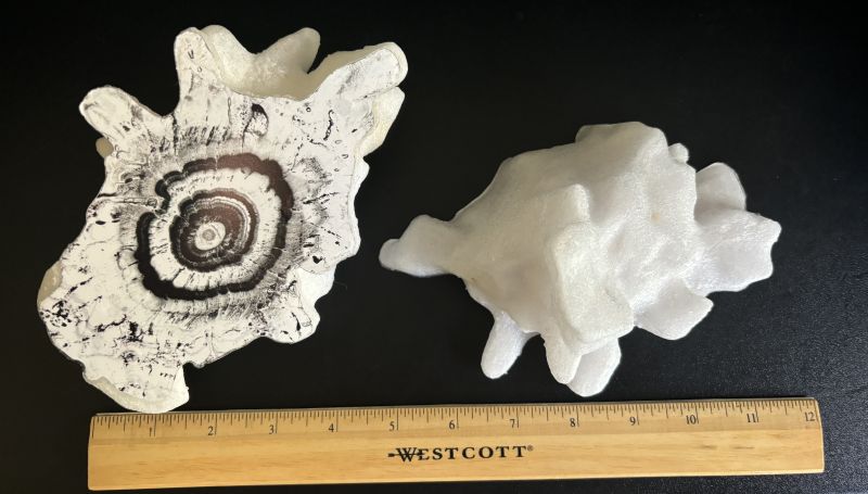 A 3D-printed replica of a 7-inch hailstone, split in two. Ruler on table for comparison