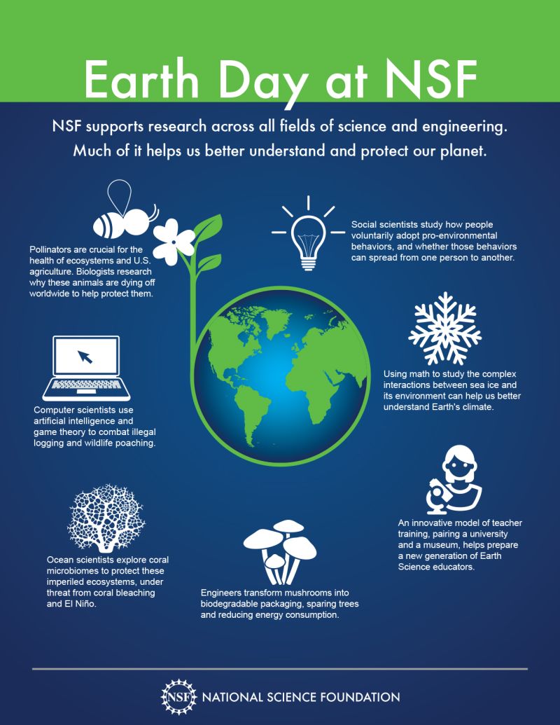 world infographic