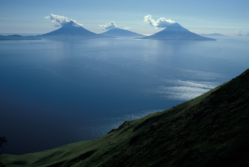 6 Reasons Why Alaska's Aleutian Islands Are A Hot Spot For Sea Life